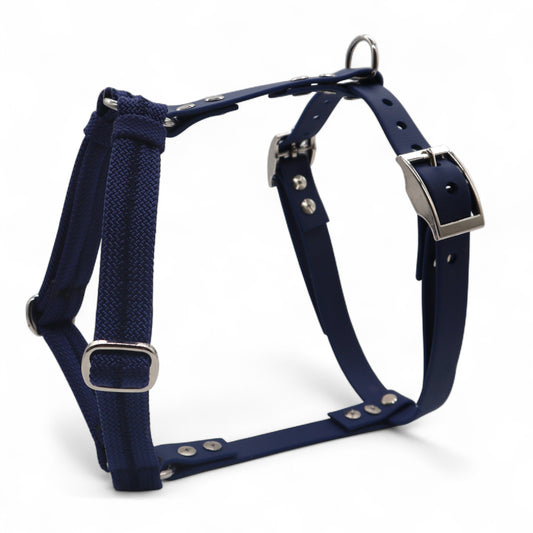 Geschirr „Tau x Biothane“ 38mm