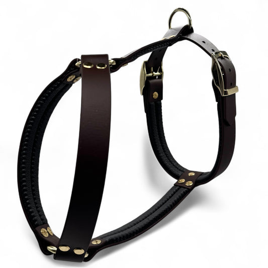 Geschirr „Biothane“ 25mm