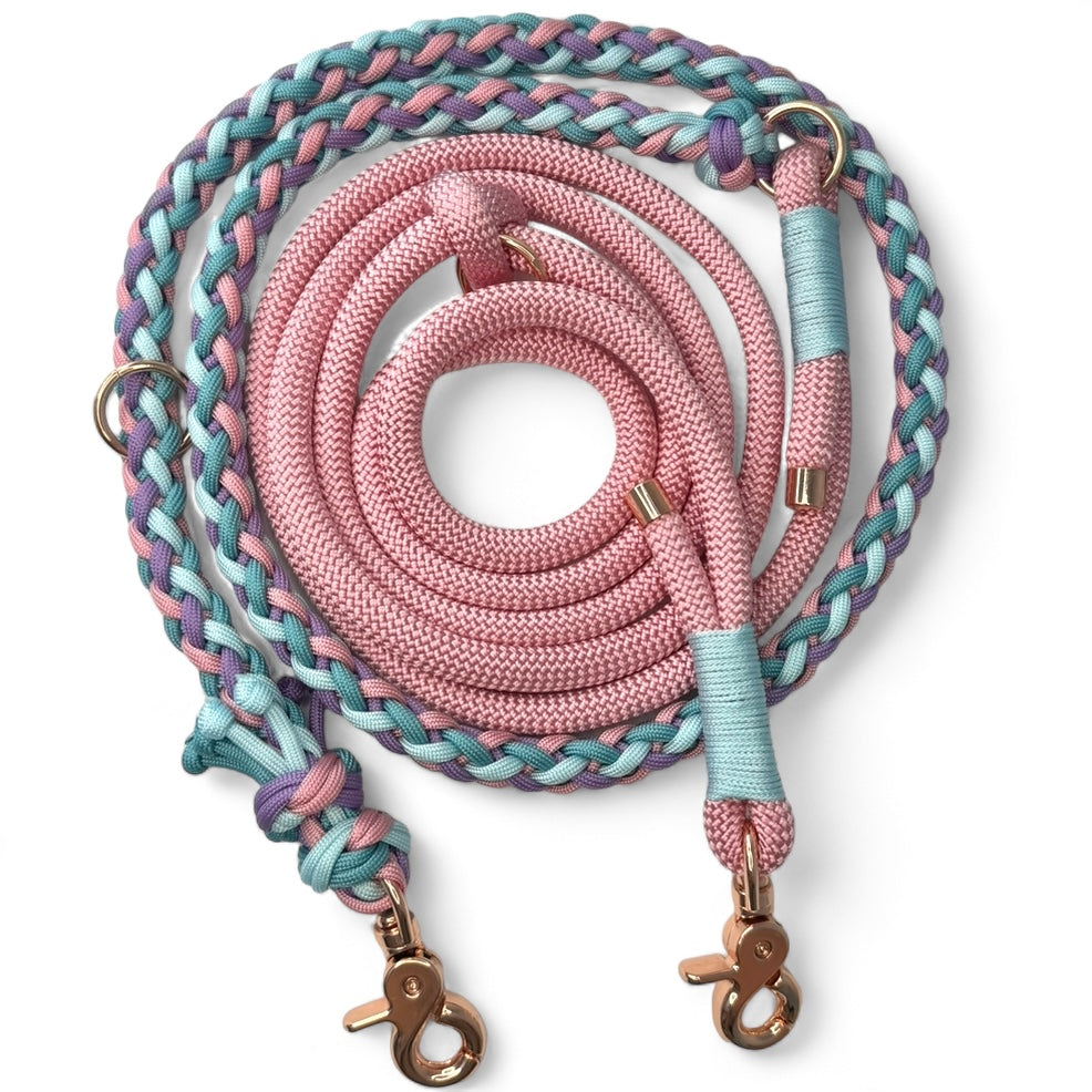 Tau x Paracord Leine „Holly“