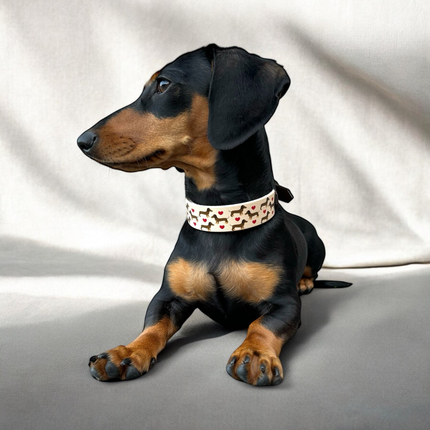 Halsband „Sausage Dogs“